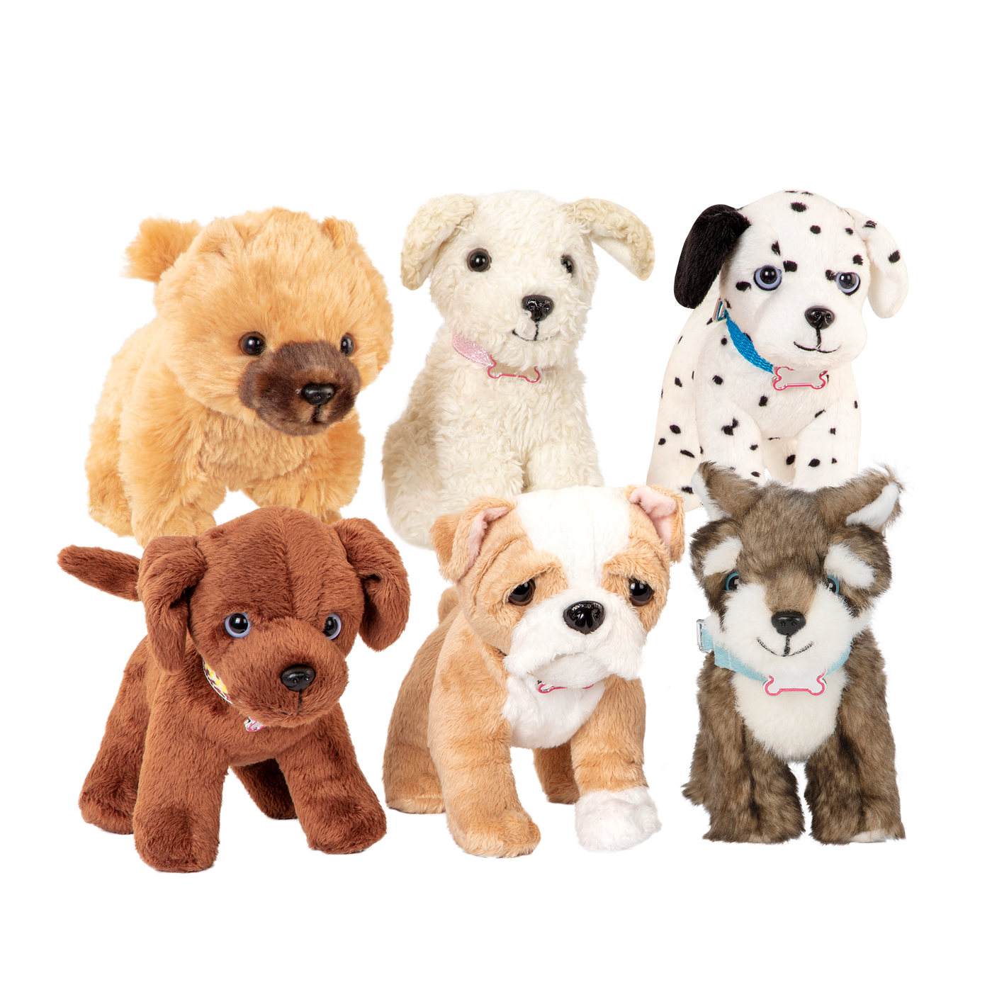 Toy Poodle Pup