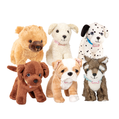 Toy Poodle Pup