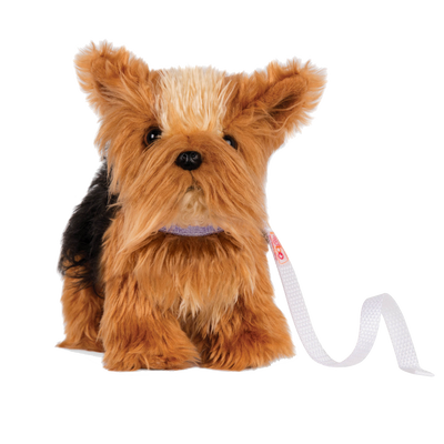 Juguetes para yorkshire shop